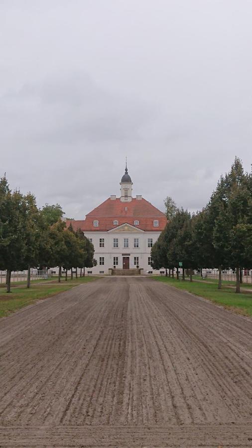 Apartmán Fewo In Neustadt/Dosse, Der Stadt Der Pferde Leddin Exteriér fotografie